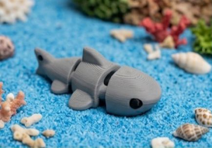 Wiggly Shark