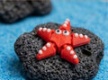 Wiggly Starfish