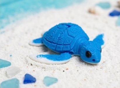 Wiggly Sea Turtle